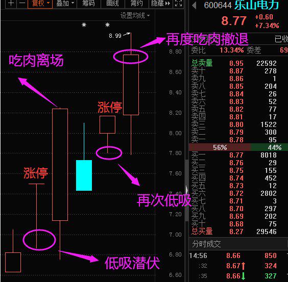 市场震荡引发债基清盘，机构资金转向股基成新趋势