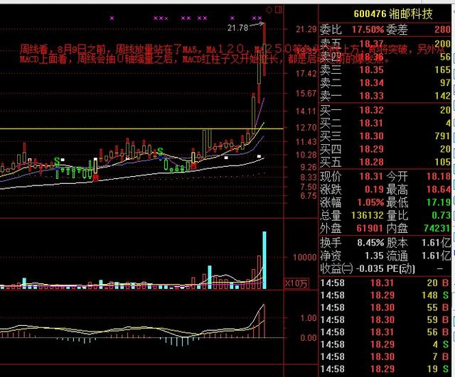 2024年香港今晚特马开什么,实践解答解释落实_Executive35.294