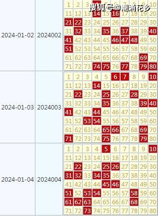 2024天天开好彩大全正版,解析预测说明_贵宾款0.798