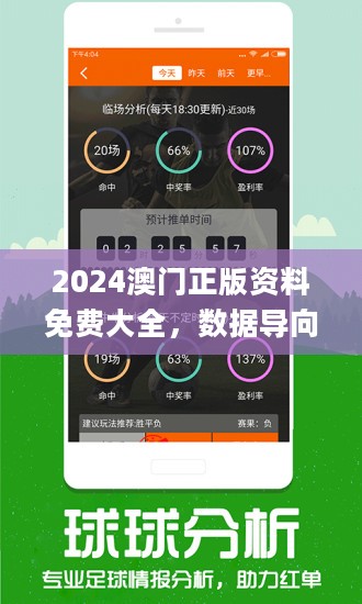 2024年正版资料免费大全一肖,衡量解答解释落实_潜能版31.67.34